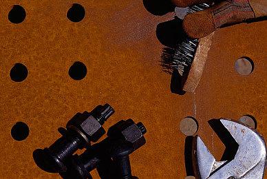 《艾尔登法环》预购宣传片 典藏版和豪华版内容泄露